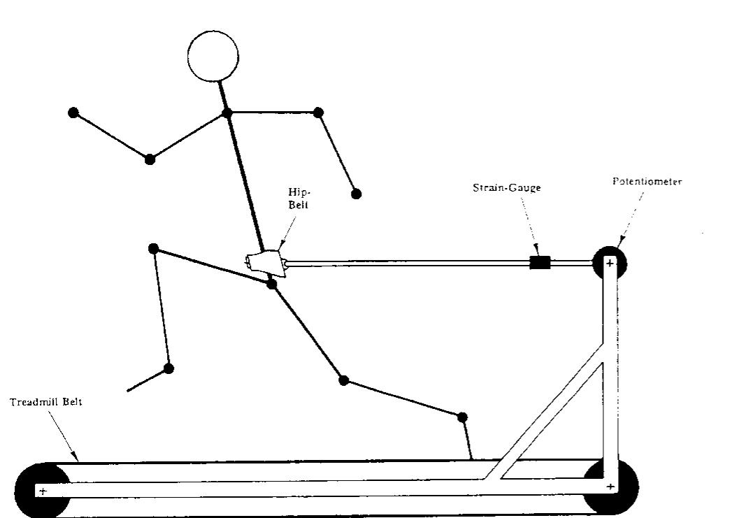 Treadmill Science Figure 1 - from A treadmill test of sprint running
