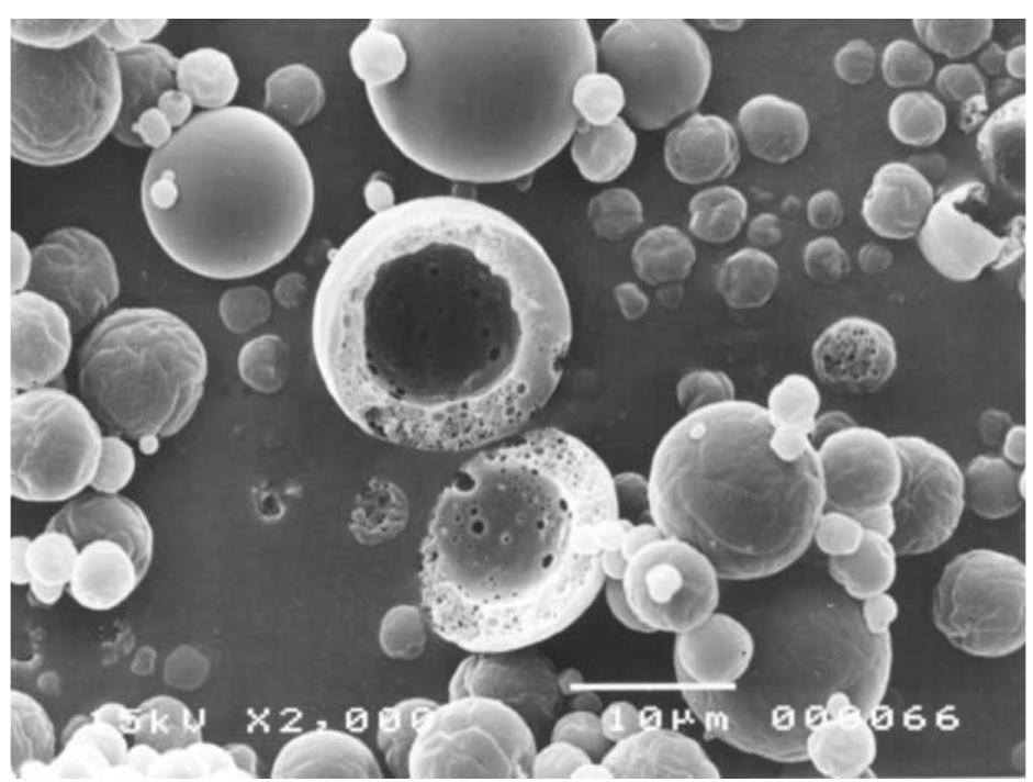 (PDF) Emulsification and microencapsulation properties of sodium ...