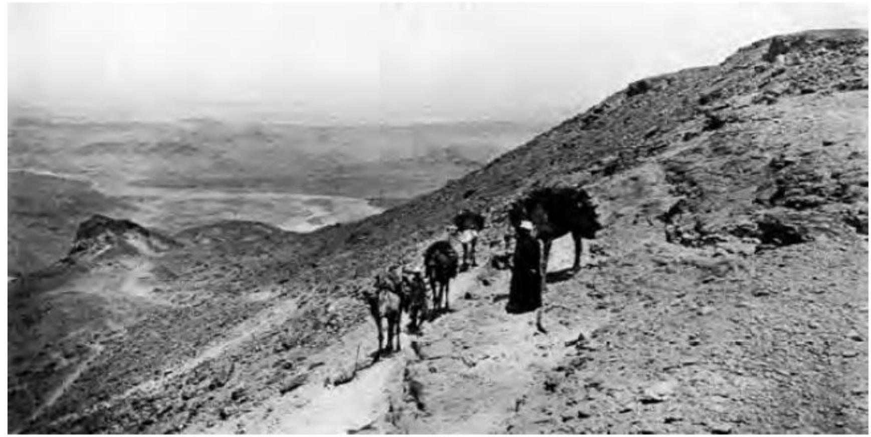 (PDF) Reconstructing the Ancient Caravan Route of Darb Al-Arbain in ...