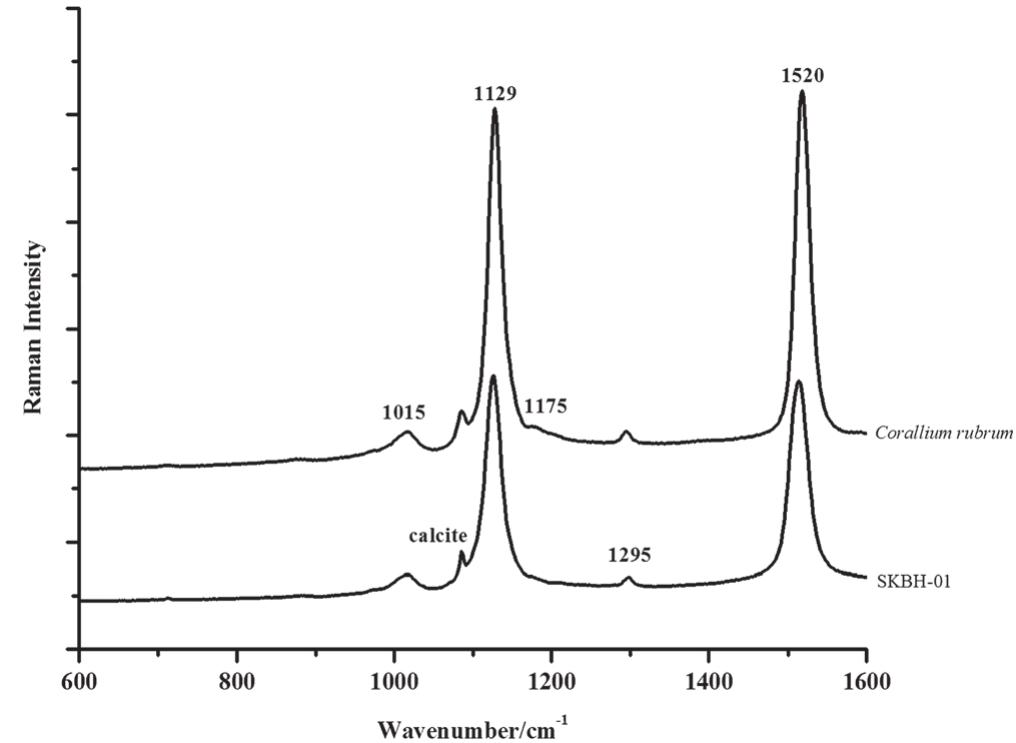 Raman spectra of two coloured natural pearls from pinna