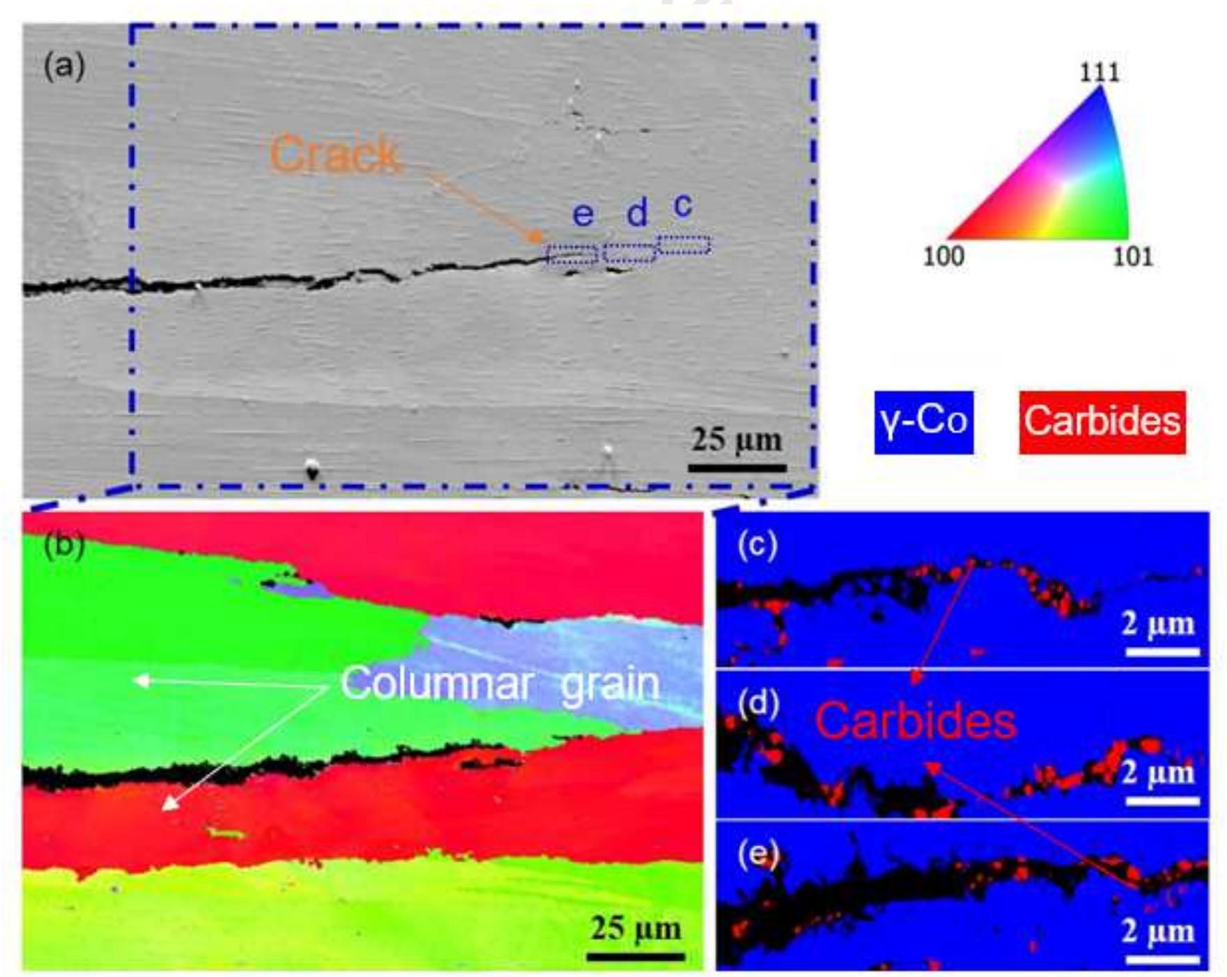 The microstructure of sebm-built co-cr-mo specimens consists
