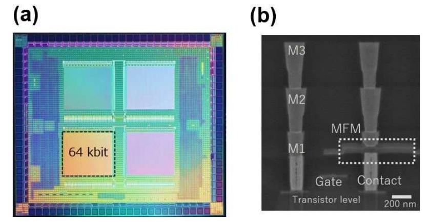 (PDF) Reliability Study of 1T1C FeRAM Arrays with Hf0.5Zr0.5O2 ...