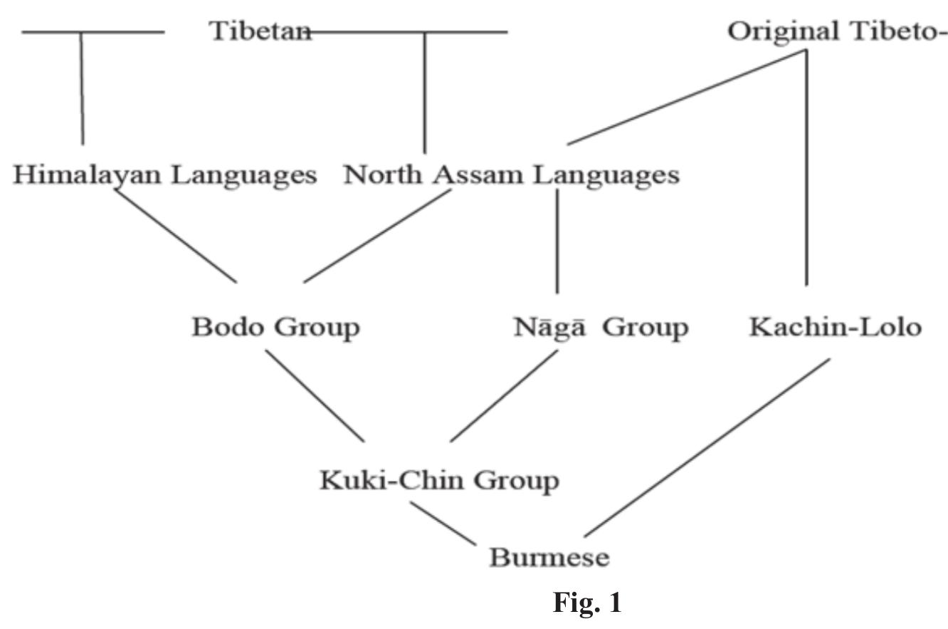 (PDF) History of the Scientific Study of the Tibetto-Burman Languages ...