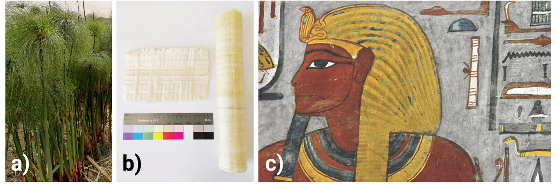 Proogen Papyrus (PDF) Papyrus production revisited: differences between ancient and ...