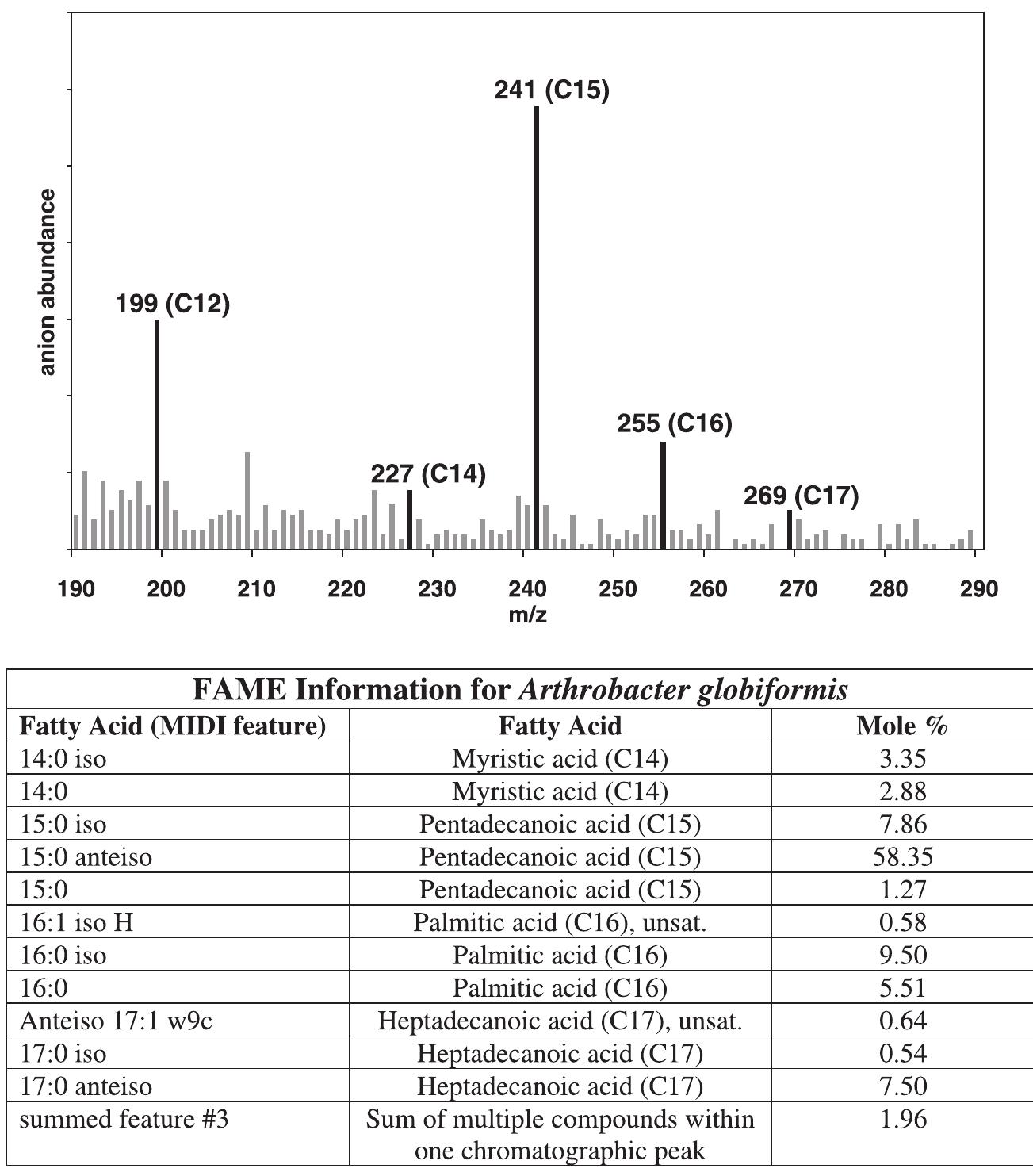 Sims anion spectra of pa dioctanoyl, cgh,5o2 (top), pa