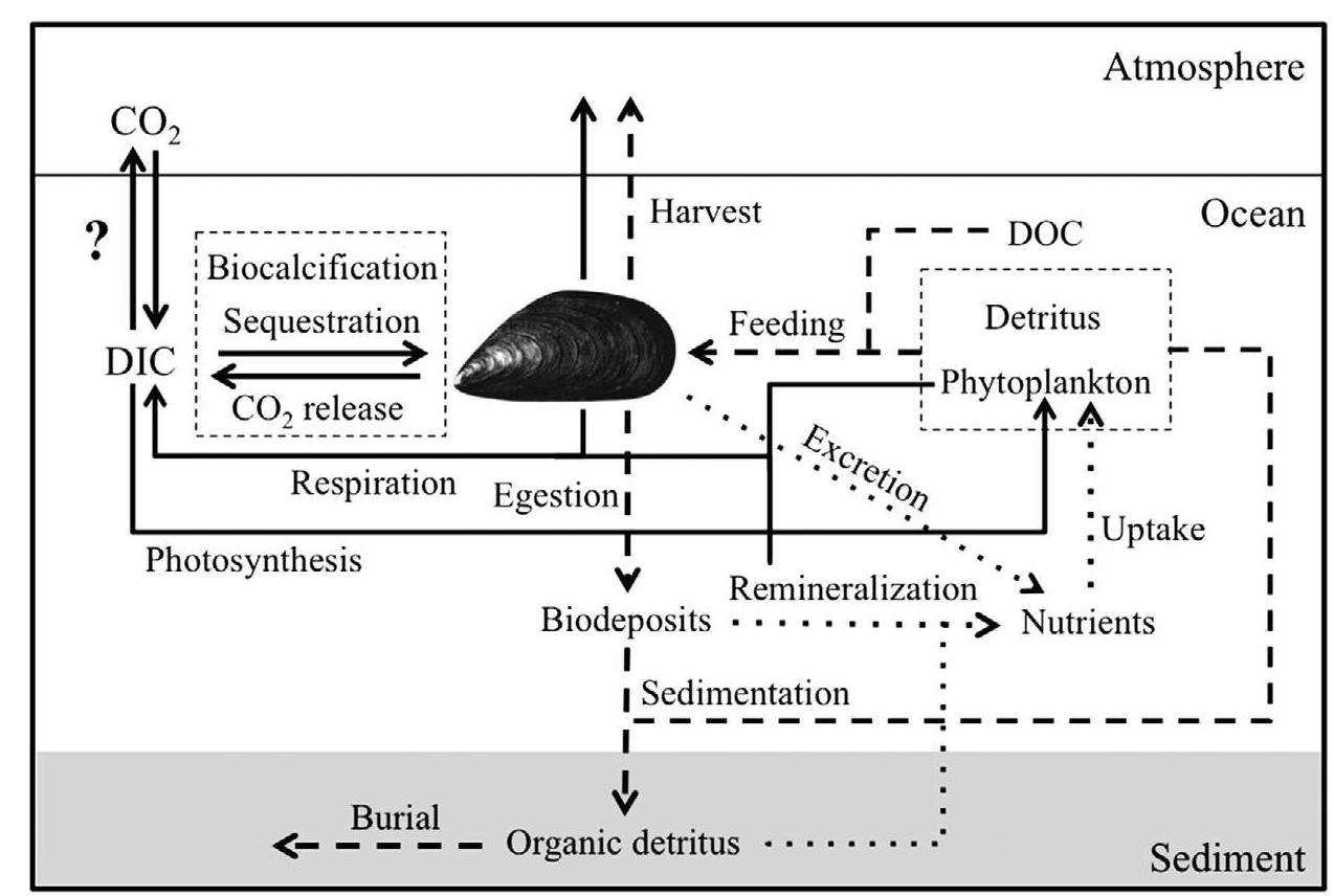 (PDF) An integrated ecosystem approach for assessing the potential role ...