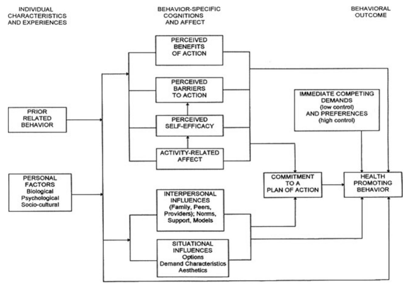 Health promotion model (revised). adapted from pender et