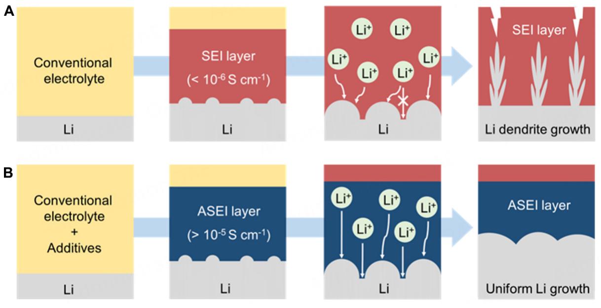 Schematic illustration of li metal dendrite growth process
