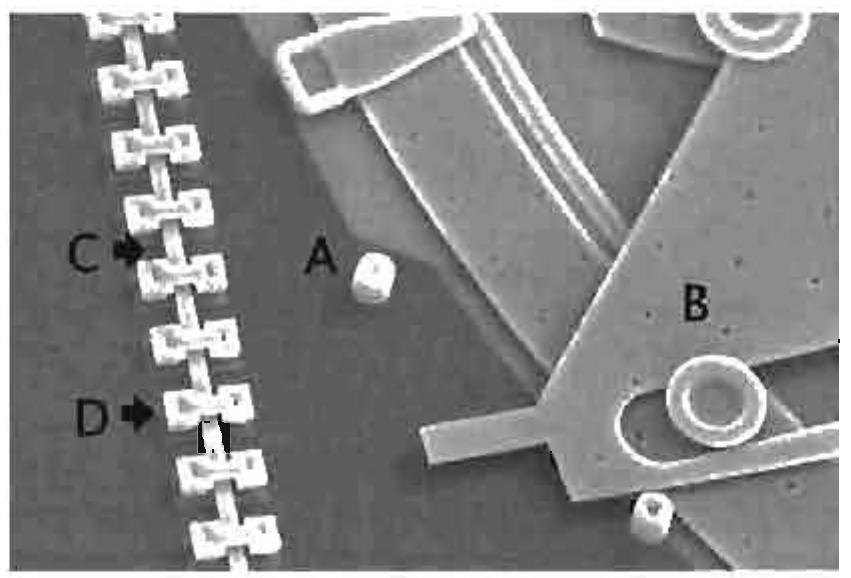 (PDF) Design of a microcamera using a silicon based closed-loop ...