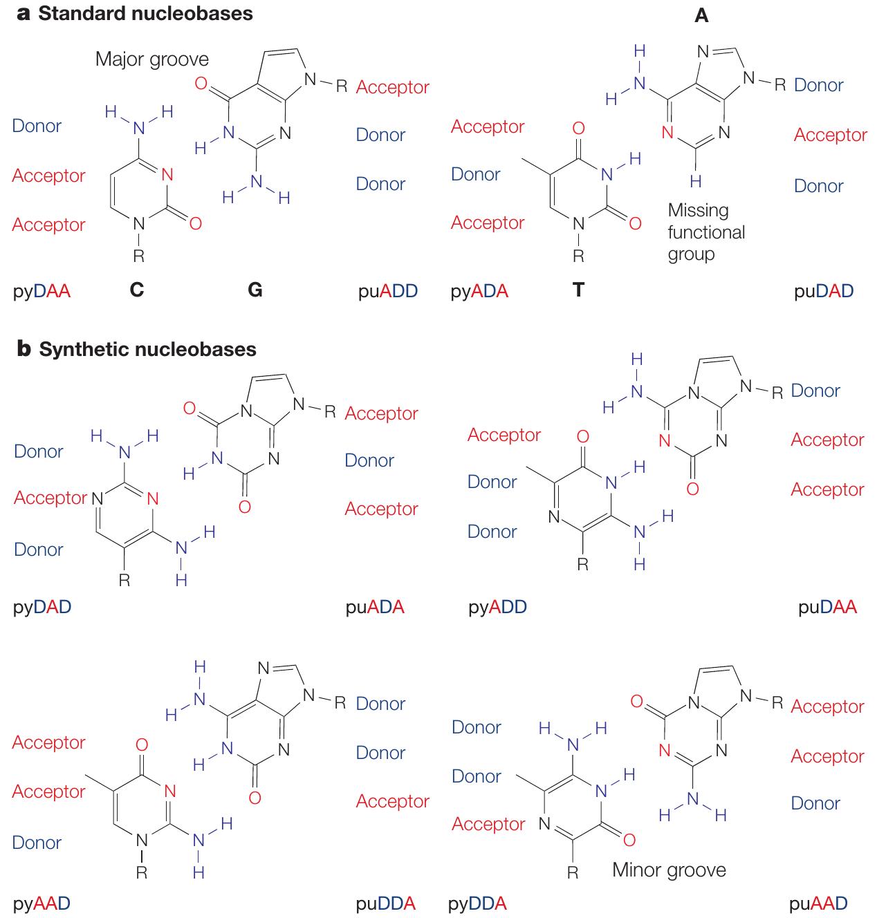 Figure 1 - from Synthetic biology