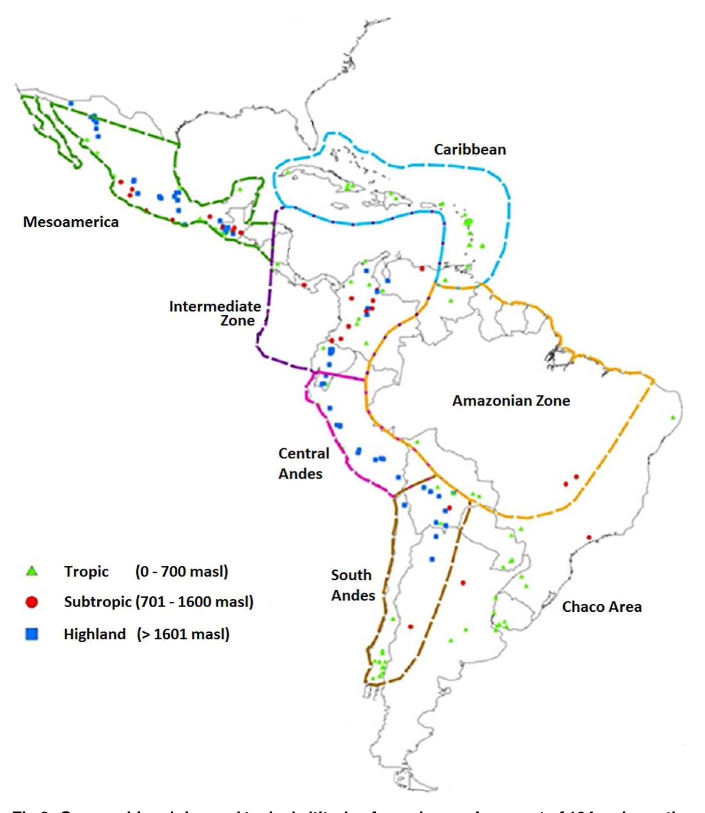(PDF) Genetic diversity and population structure of native maize ...