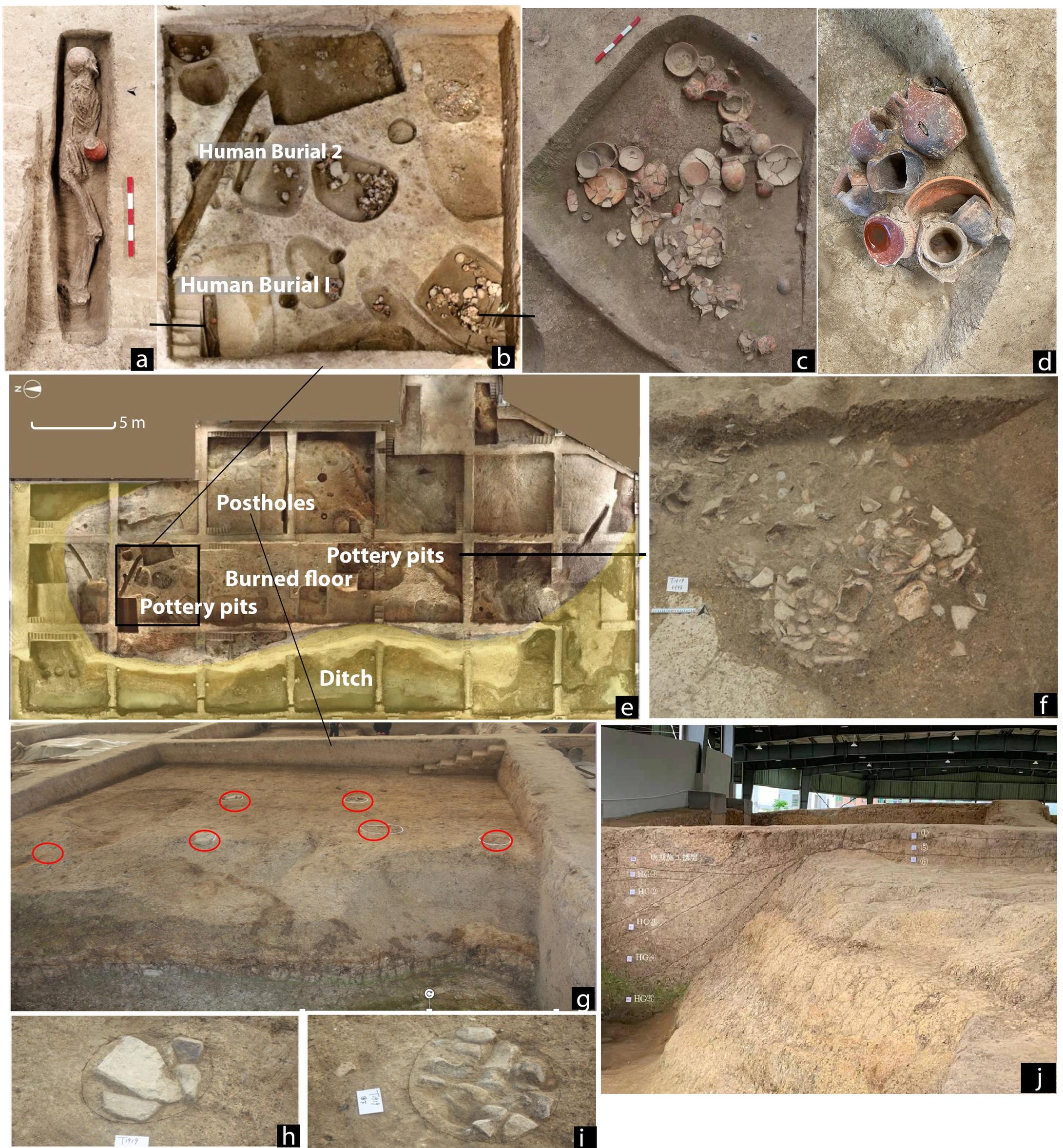 (PDF) Early evidence for beer drinking in a 9000-year-old platform ...