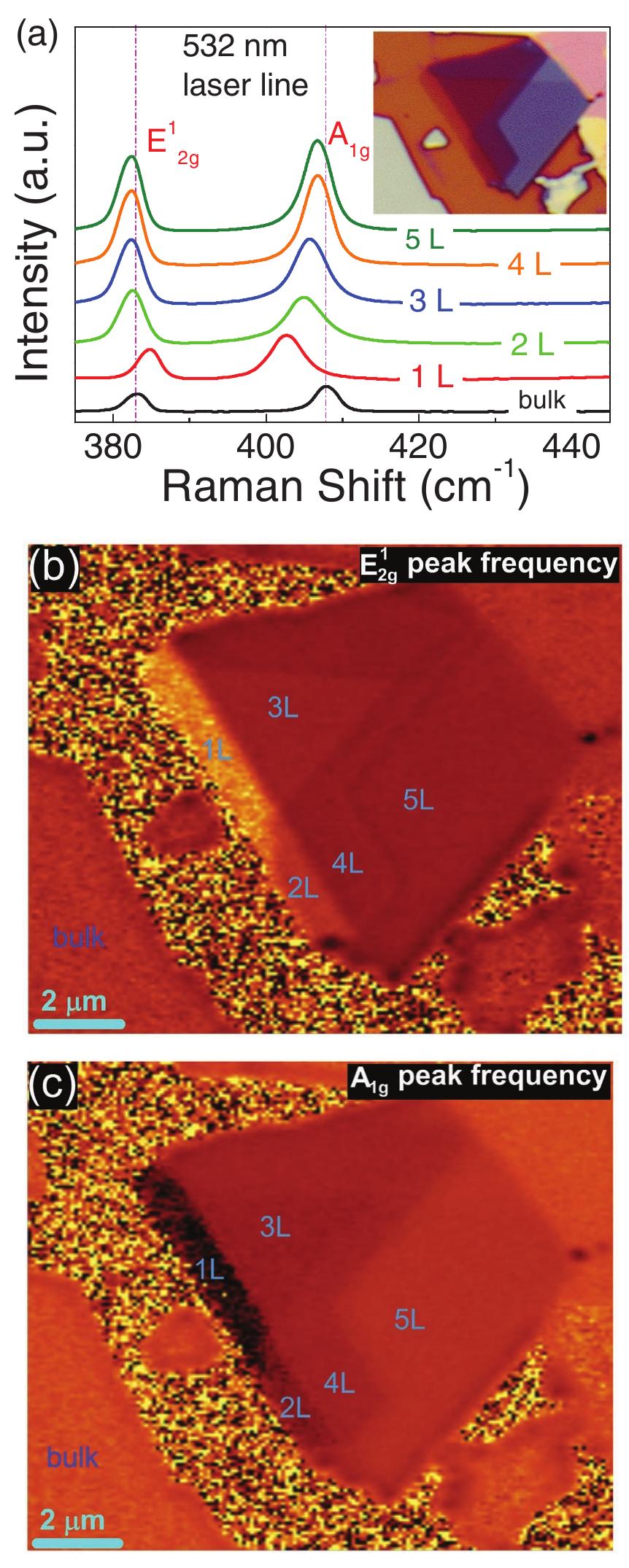 (PDF) From Bulk to Monolayer MoS2: Evolution of Raman Scattering