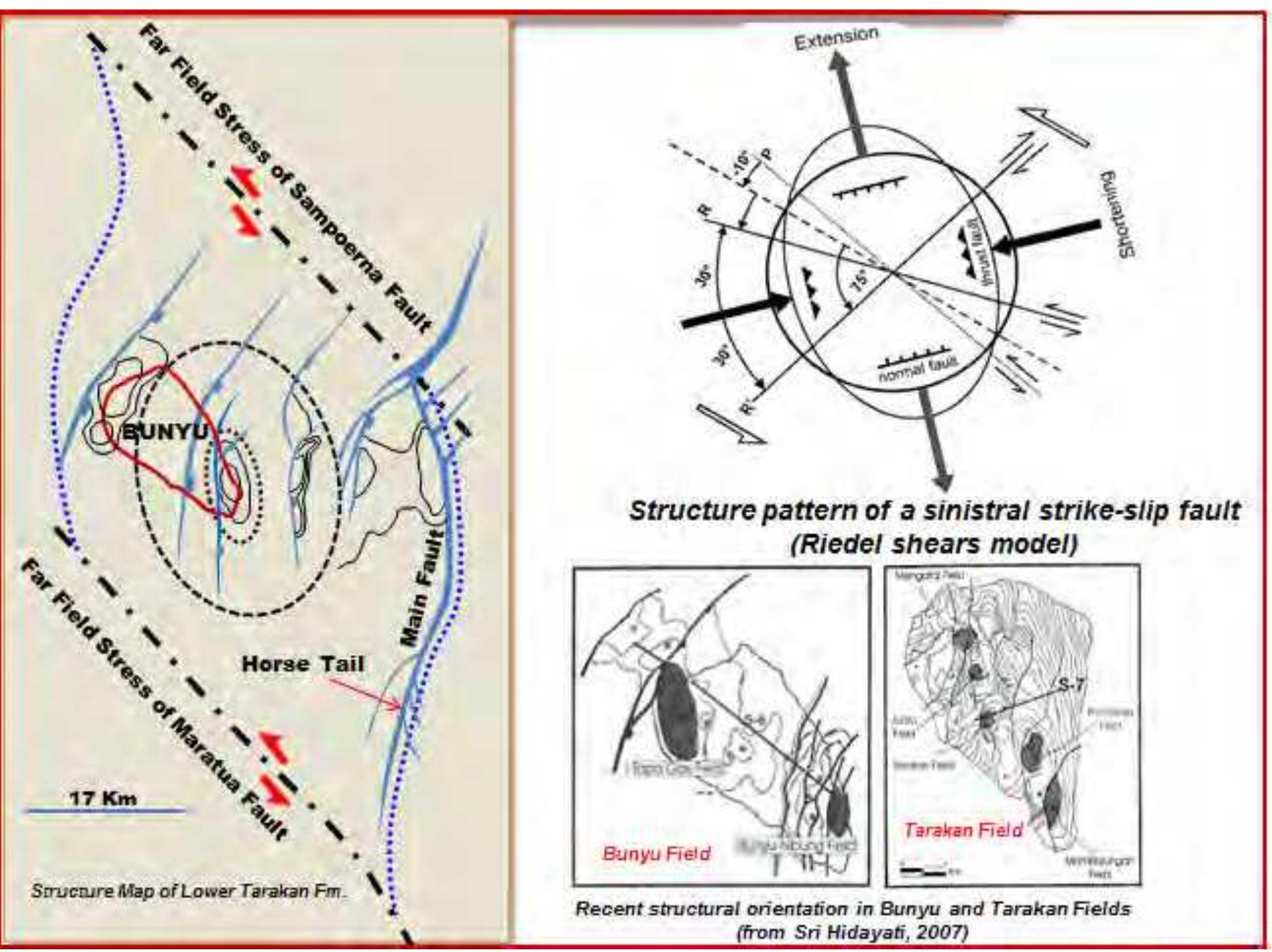 Model Riedel Fault (PDF) Some New Insights to Tectonic and Stratigraphic Evolution of the ...
