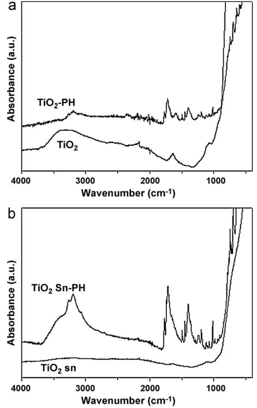 Figure 3 - from Controlled release of phenytoin for epilepsy
