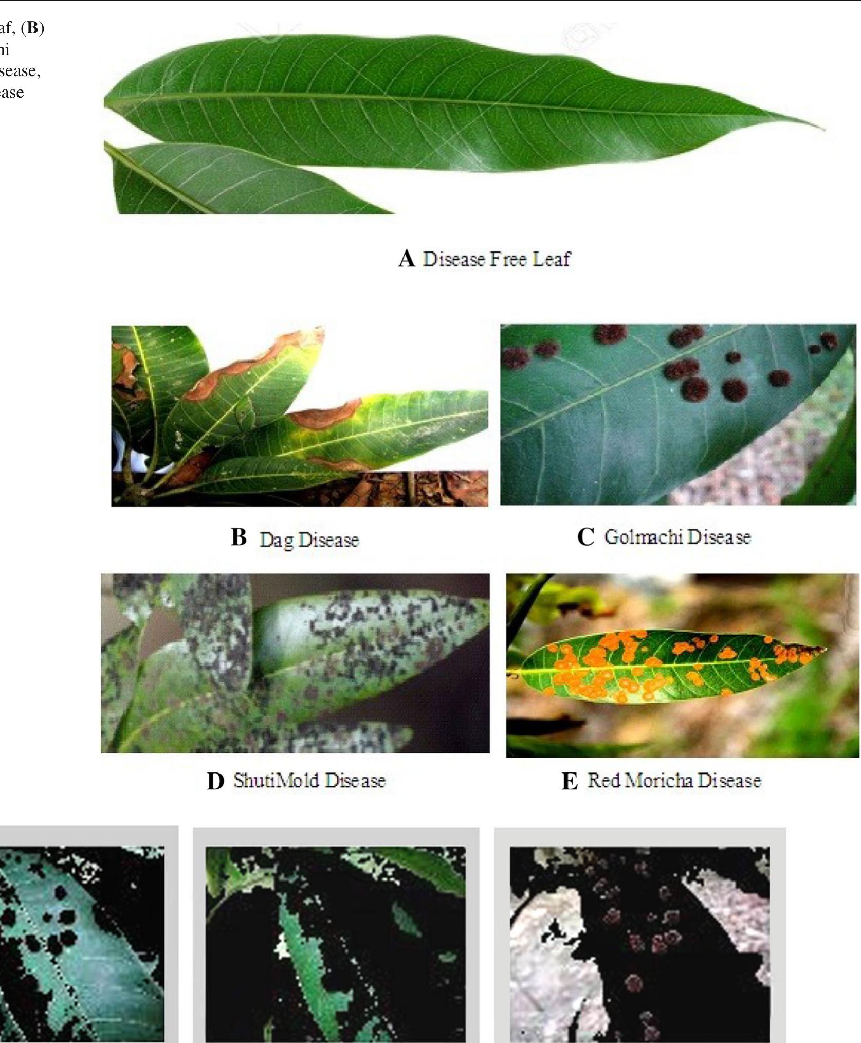 (PDF) Mango leaf disease recognition using neural network and support ...