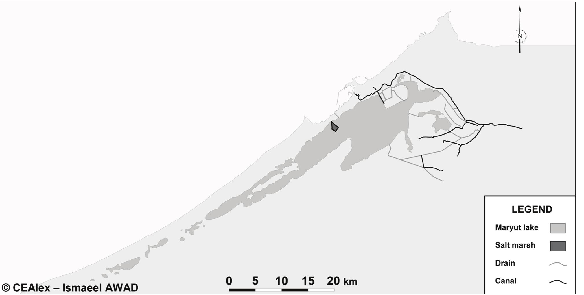 Figure 16 - from A Study of the Evolution of the Maryut Lake