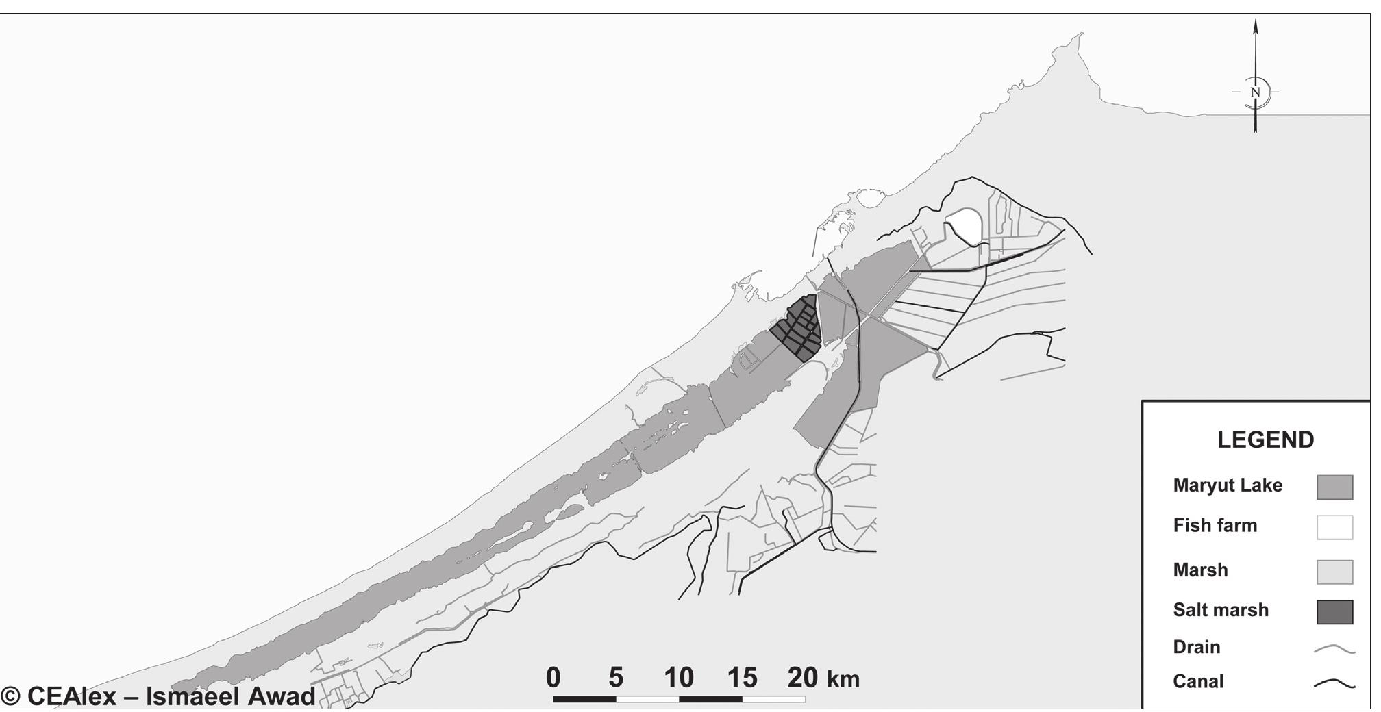 (PDF) A Study of the Evolution of the Maryut Lake through Maps