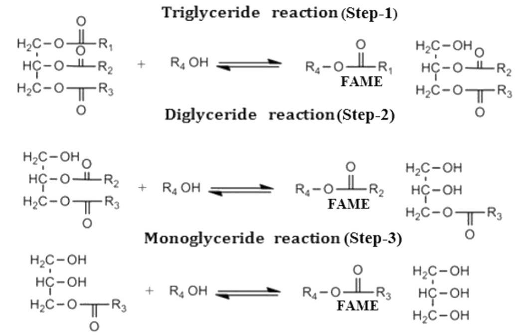 The three stepwise process of transesterification reaction
