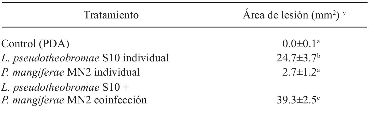 yEach value represents the mean + standard deviation. / ¥ Cada valor representa la media + deviacion estandar.  7 Means with different letters are statistically different (Tukey, p<0.05). /*Medias con letras distintas son estadisticamente diferentes (Tukey, p<0.05).  Table 2. Coinfection of Pestalotiopsis mangiferae MN2 and Lasiodiplodia pseudotheobromae S10 in mango branches after 5 days. Cuadro 2. Coinfeccién de Pestalotiopsis mangiferae MN2 y Lasiodiplodia pseudotheobromae S10 en ramas después de 5 dias. 