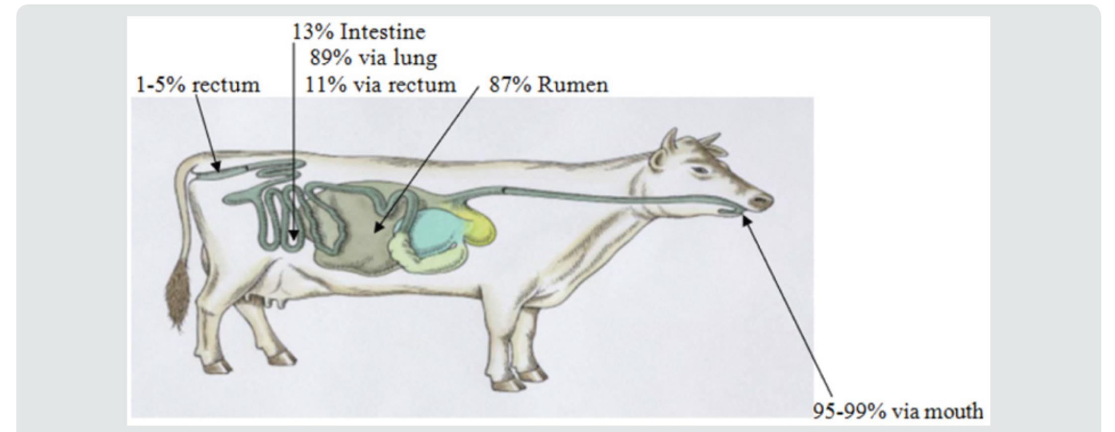 (PDF) Methane Production in Ruminant Animals - Implication for Their ...