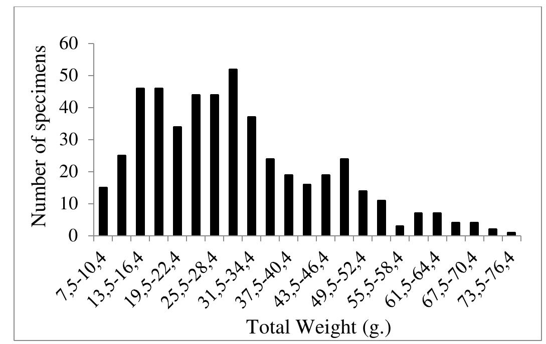 Figure 2. Total weight frequency distribution of all Citharus linguatulc specimens from Edremit Bay between the years of 2015-2016  Figure 1. Total length frequency distribution of all Citharus linguatula specimens from Edremit Bay between the years of 2015-2016  Age and sex distribution data are summarized in Figure 3. Age of captured fish ranged between I and V, while the second year class was dominant with 66.65%. Because of selectivity of the nets, the 0 age group was not represented in the sampling. Sex ratio of the population consisted of about 66.69% males with 332 specimens and 33.31% females with 166 ones, and differences between sexes according to age were statistically significant (t-test, P<0.05) with the sex ratio (F:M=1:2). 