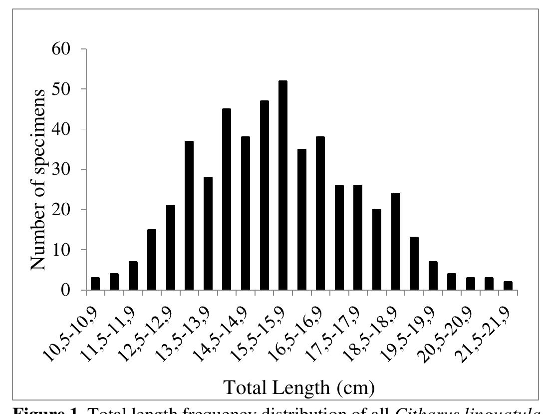 most dominant in the sample (n=498) (Figure 2).  Length and weight frequency distribution 