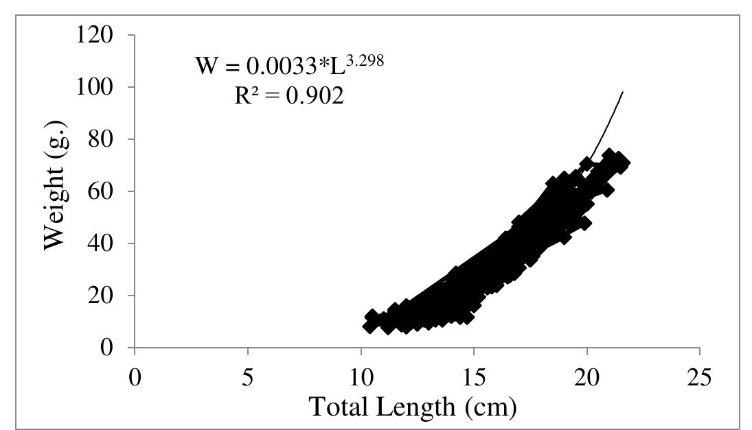 Figure 4. Length-weight relationship of all Citharus linguatula specimens from Edremit Bay between the years of 2015-2016.  Condition factor (CF%) 
