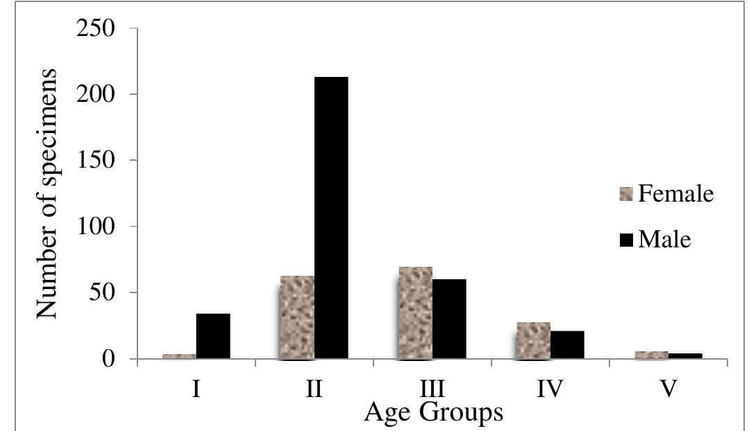 Figure 3. Age groups and sex ratio of all Citharus linguatula specimens from Edremit Bay between the years of 2015- 2016.  Growth 