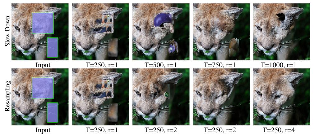 (PDF) RePaint: Inpainting using Denoising Diffusion Probabilistic Models