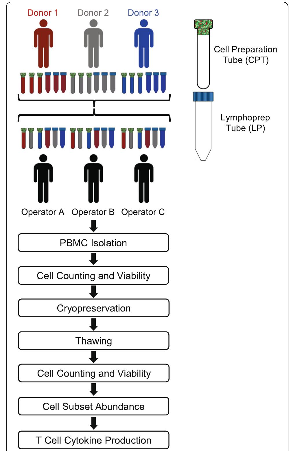 (PDF) Functional comparison of PBMCs isolated by Cell Preparation Tubes ...