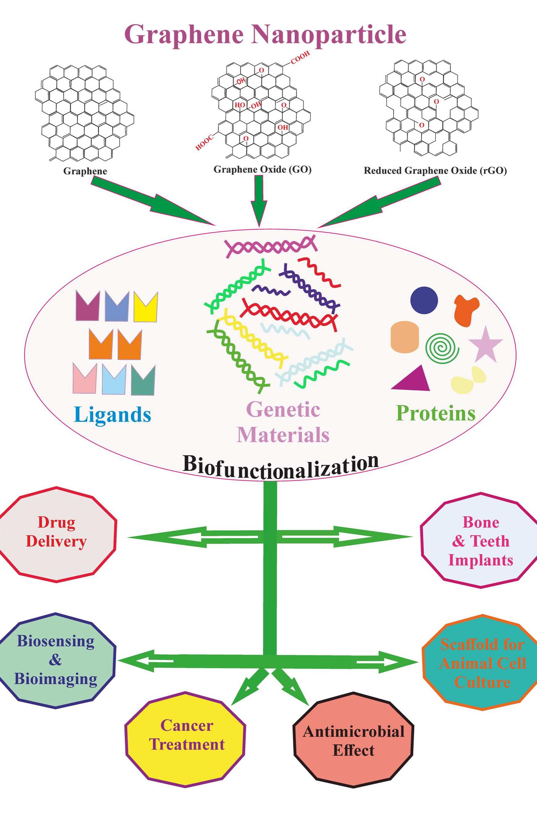 (PDF) Graphene and graphene oxide as nanomaterials for medicine and ...