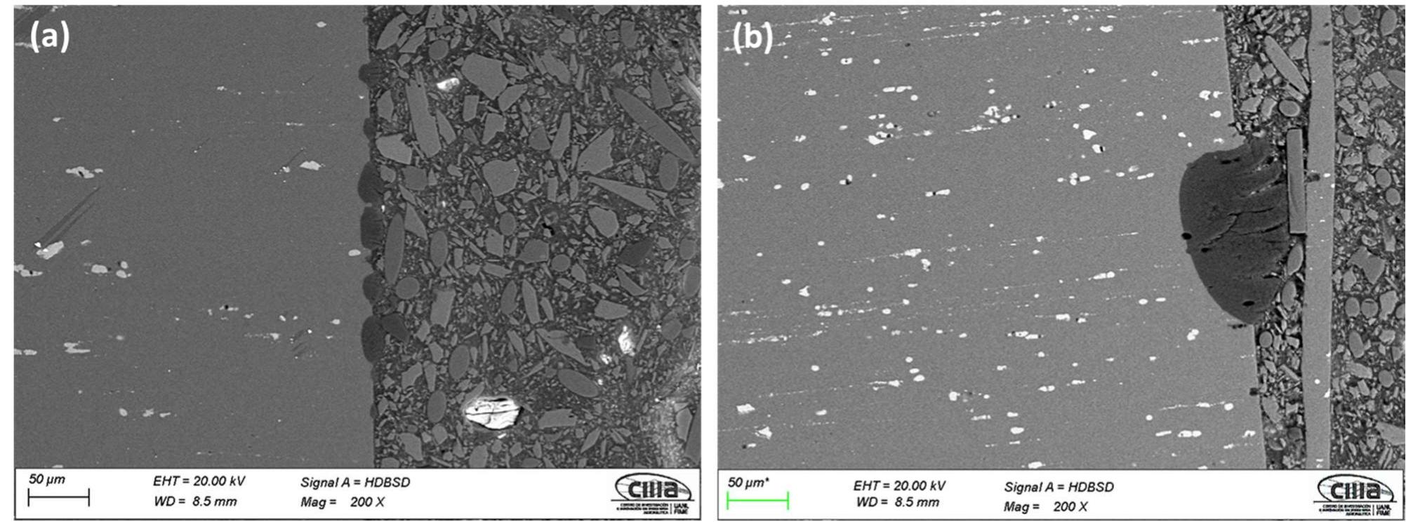 Sem-bes cross-section micrographs of anodized samples of