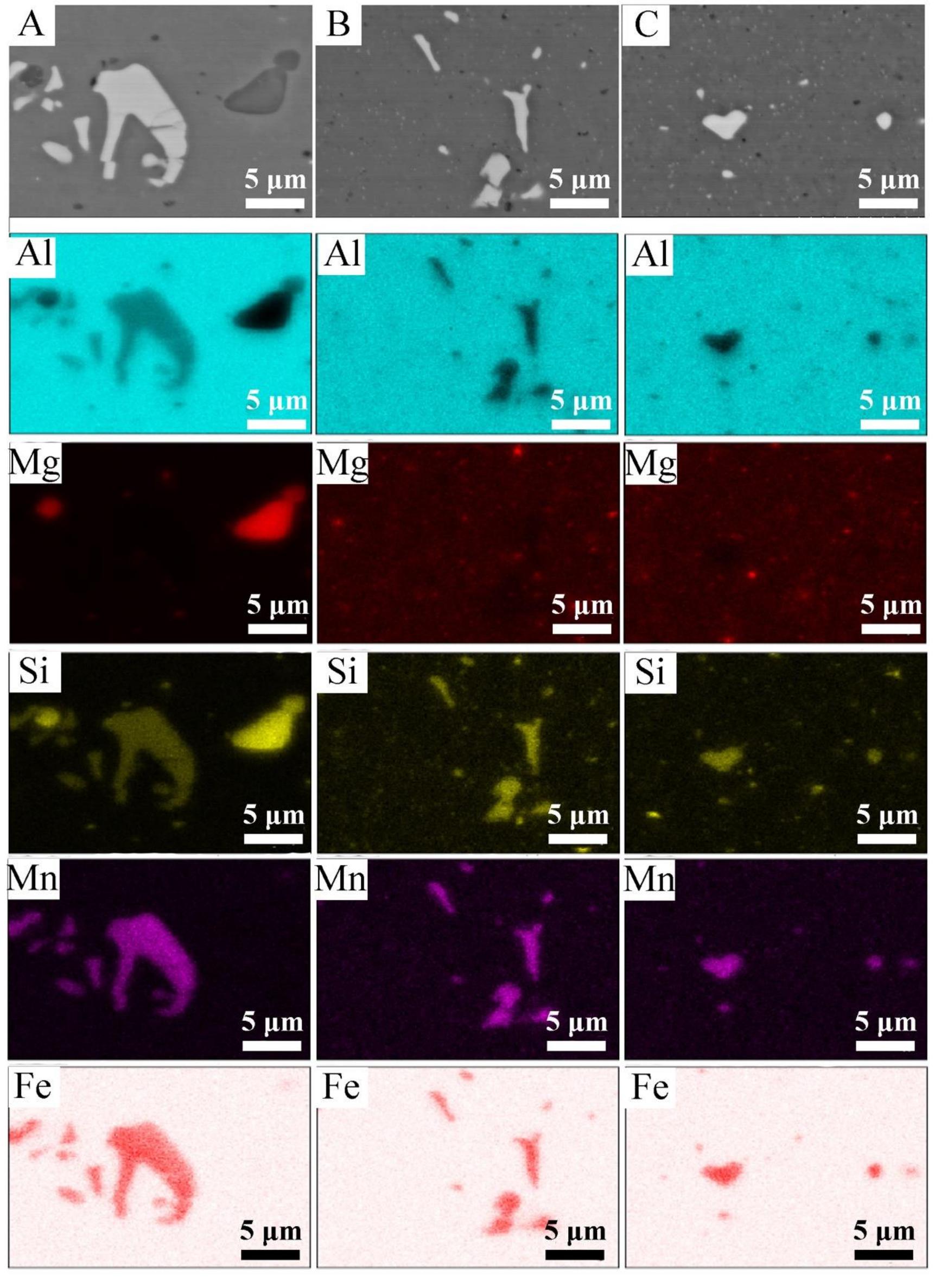 The microstructure in the cross-section of the materials
