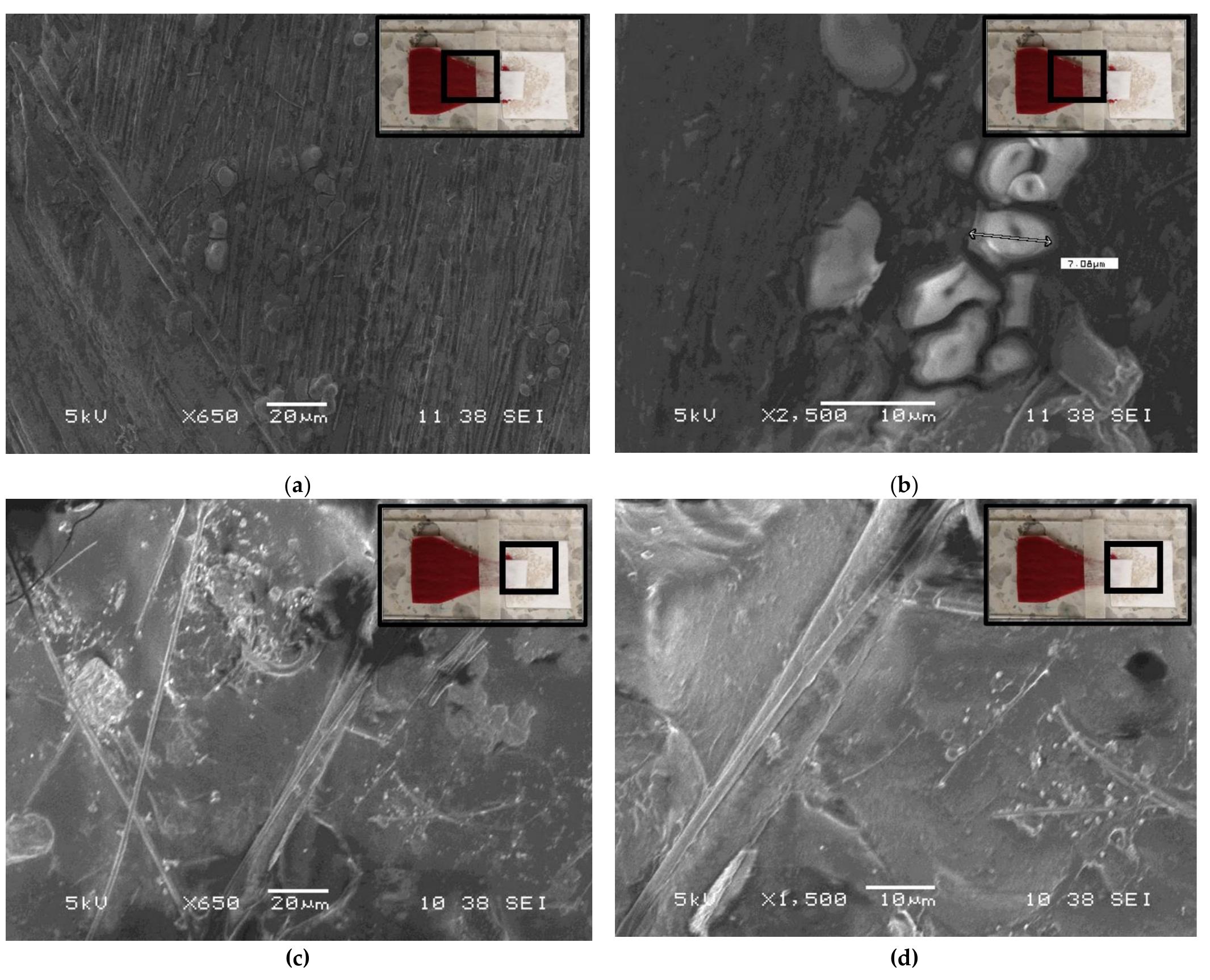Sem Rbc Visual comparison of sem images of the remaining formed