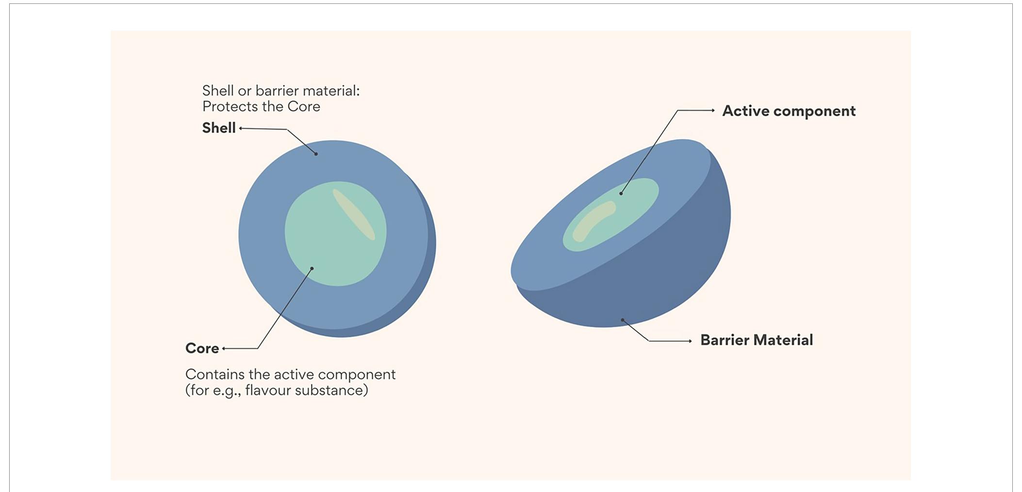 (PDF) Flavour encapsulation: A comparative analysis of relevant ...