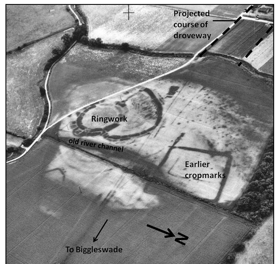 Figure 2 The Biggleswade ringwork (aerial view reproduced by permission of the Cambridge University Collection of Air Photos). 
