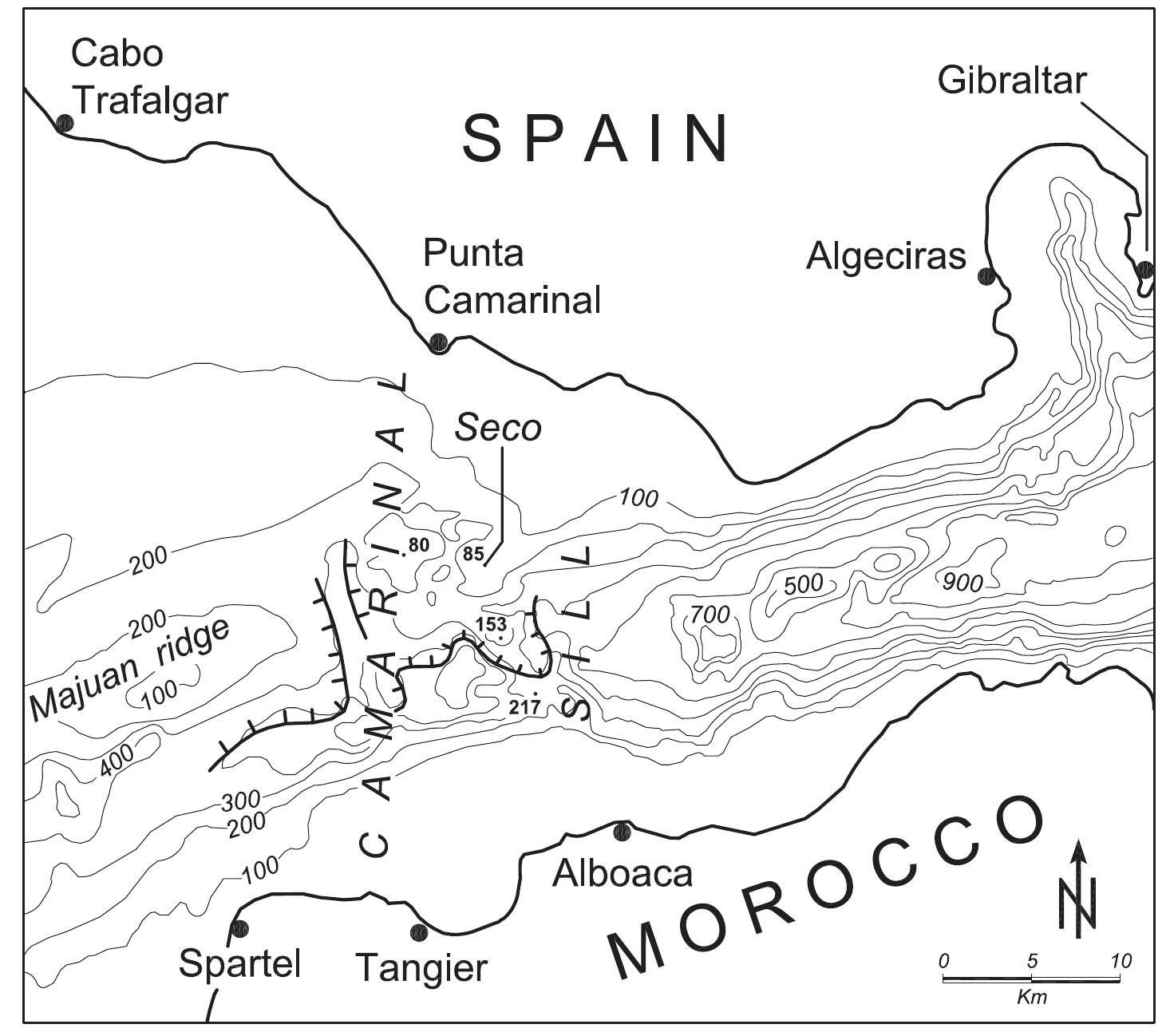 (PDF) Early to Middle Pleistocene Homo dispersals from Africa to ...