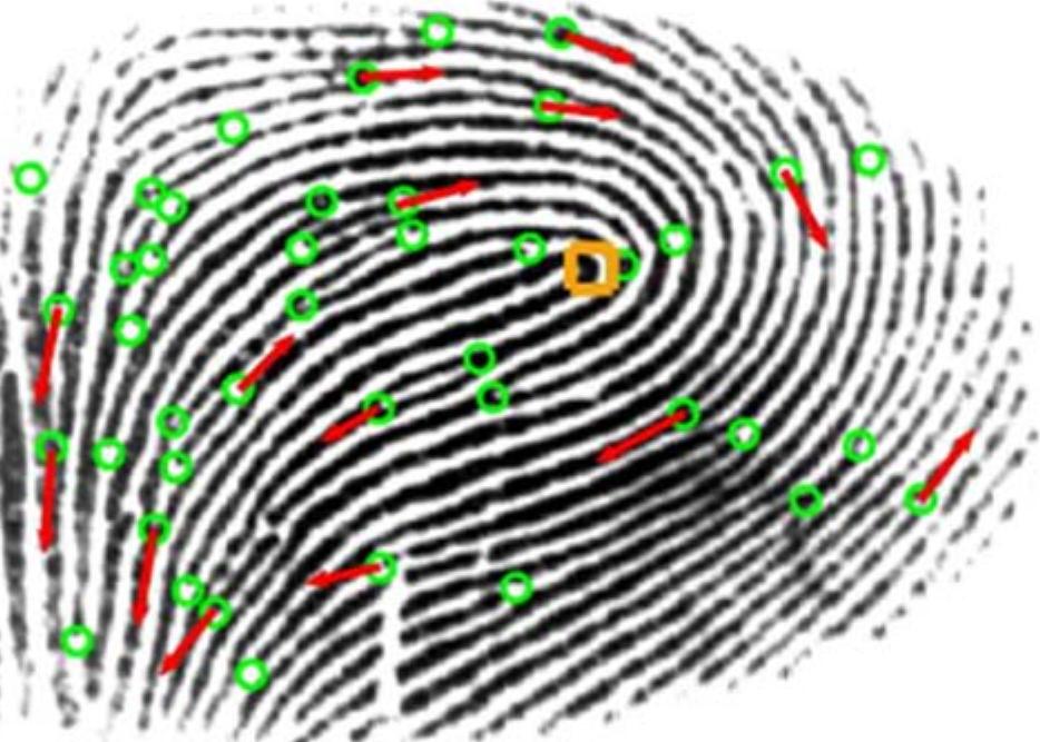 (PDF) Biometric template security using DNA codec based transformation