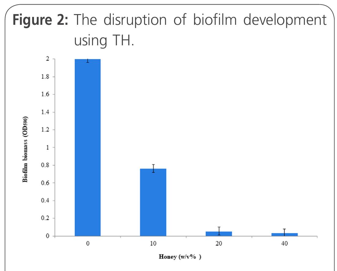 Biofilms of S. pneumoniae were grown for 24 h in media supplemented with TH at 10%, 20% and 40% (w/v). Error bars show SEM. 