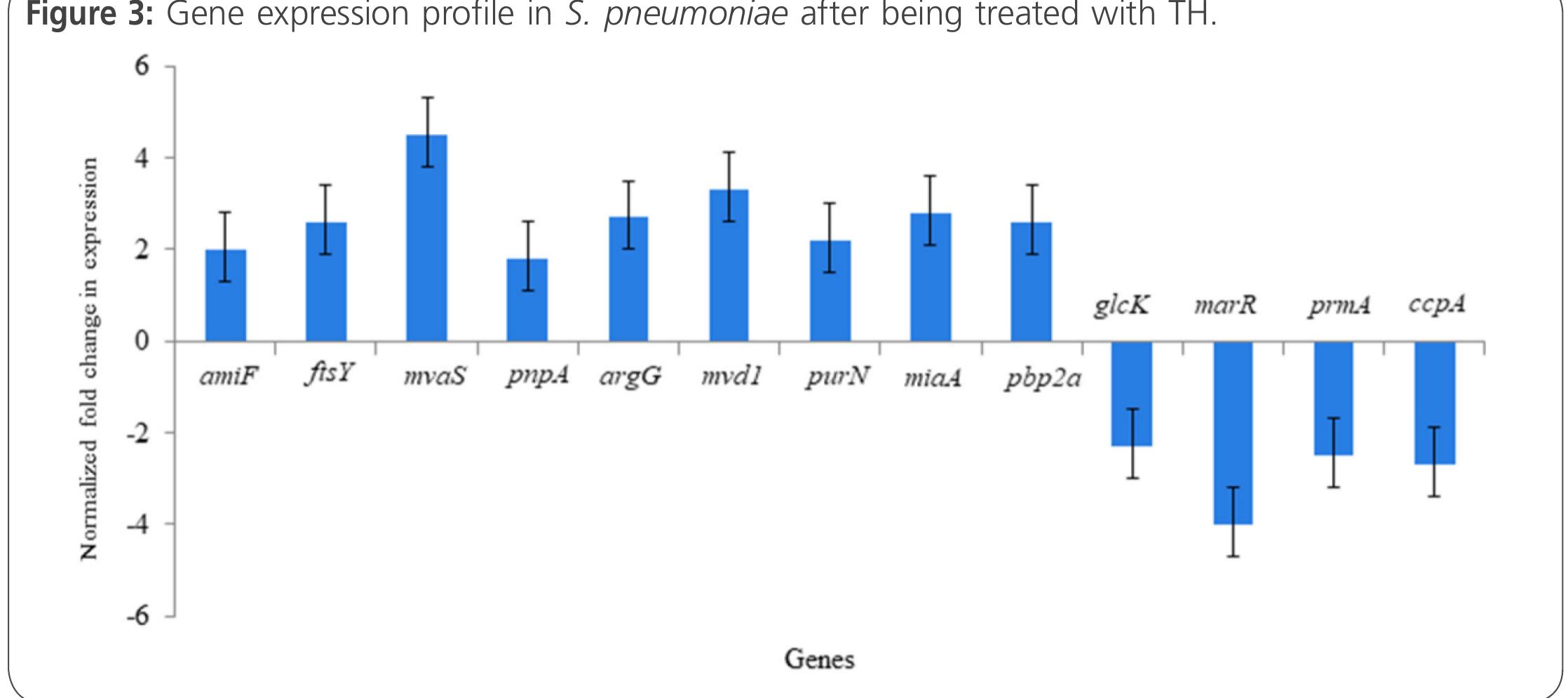 all concentrations of TH had disrupted biofilm for- mation of S. pneumoniae, where the inhibition rate increased from 10% (w/v) honey concentration until reached to honey concentration of 40% (w/v). Pre- vious studies demonstrated the ability of Manuka honey to disrupt preformed biofilms of S. pyogenes and P. aeruginosa [24, 29]. A study by Hammond et al., (2014) demonstrated that a dose-response of Manuka honey was able to reduced biofilm biomass of Clostridium difficile strains and the optimum Ma- nuka honey activity occurred at 40-50% (v/v) [30]. A study by Eminek et al., (2017) showed that biofilms was developed over 3 days of F. coli and Proteus mirabilis culture and honey gave a dose-dependent reduction in biofilm formation (between 3.3 and 16.7% w/v) [31]. A previous study reported that New Zealand, Cuba, and Kenya honeys were able to inhibit biofilm formation and to disrupt biofilms of S. aureus, P. aeruginosa and S. pyogenes [32]. The similarly or divergence of results might be due to several reasons such contain different level of active compounds including phenolic acids and fla- vonoids [17, 33-34].  RT-aPCR was used to determine the level of   Genes amiF, ftsY, argG, pbp2a, glcK and prmA encoding Transporter proteins 