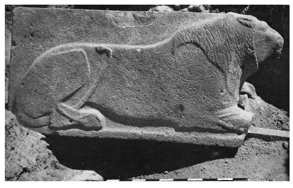 The lion orthostat from the Orthostats Temple. 