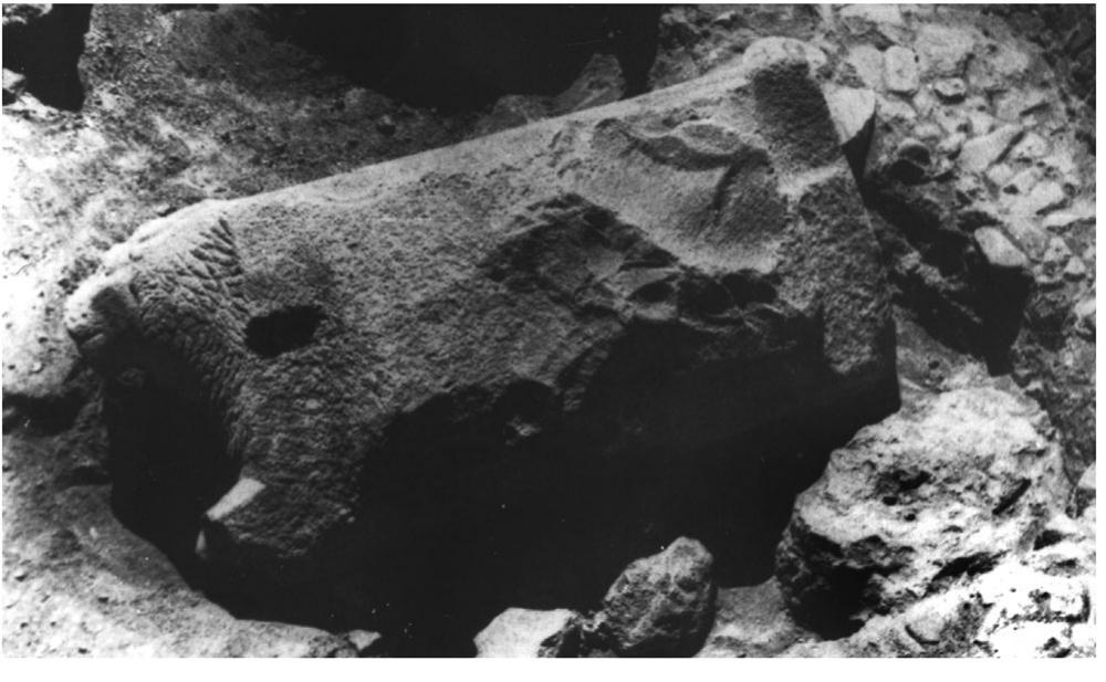The lion orthostat as found in a pit in the Orthostats Temple. 
