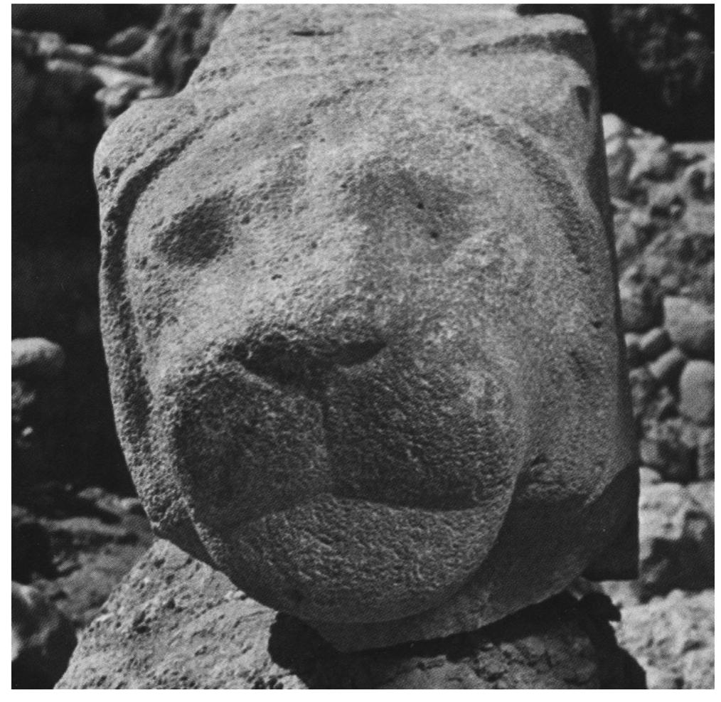 The fragmentary lioness orthostat found on the Upper Mound. 