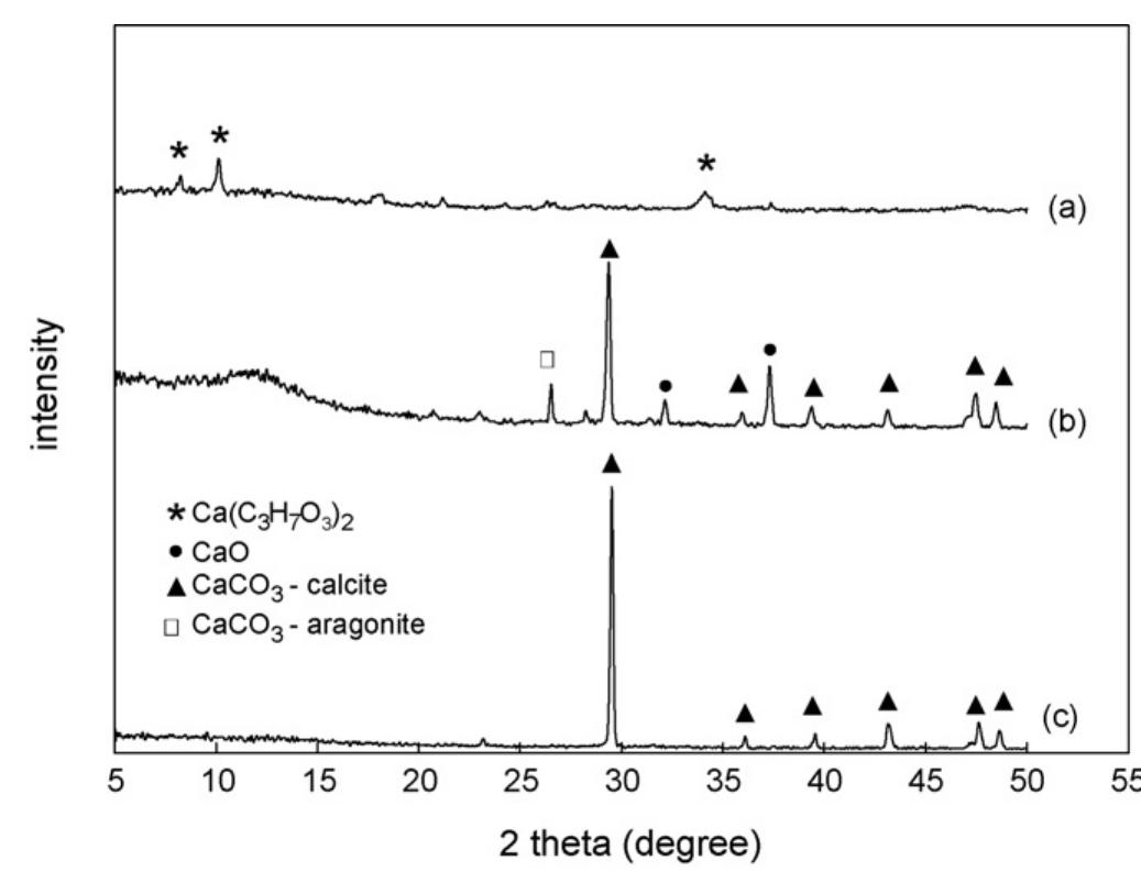 (PDF) Continuous production of biodiesel in a packed-bed reactor using ...
