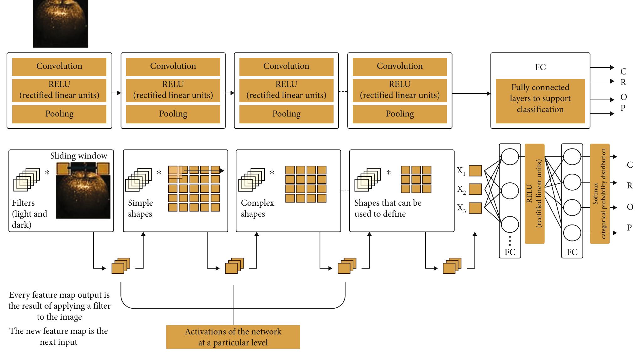 Ficure 11: classification of crop using cnn architecture.