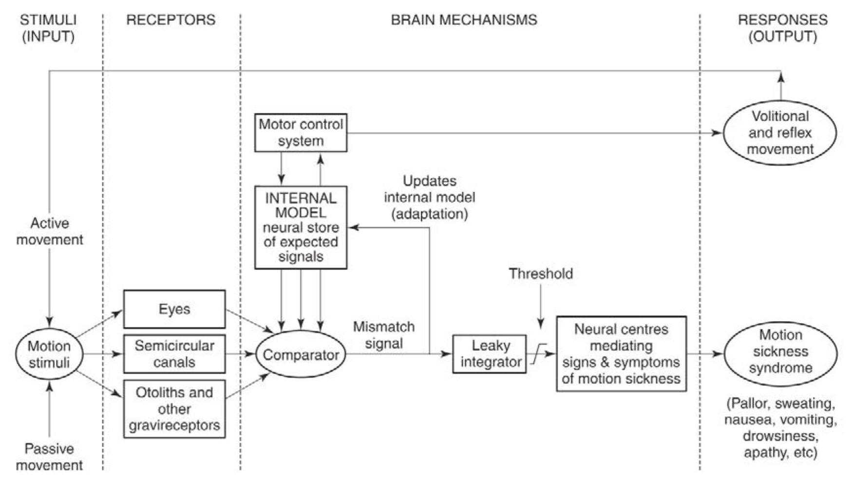 Figure 1 - from Modeling Motion Sickness