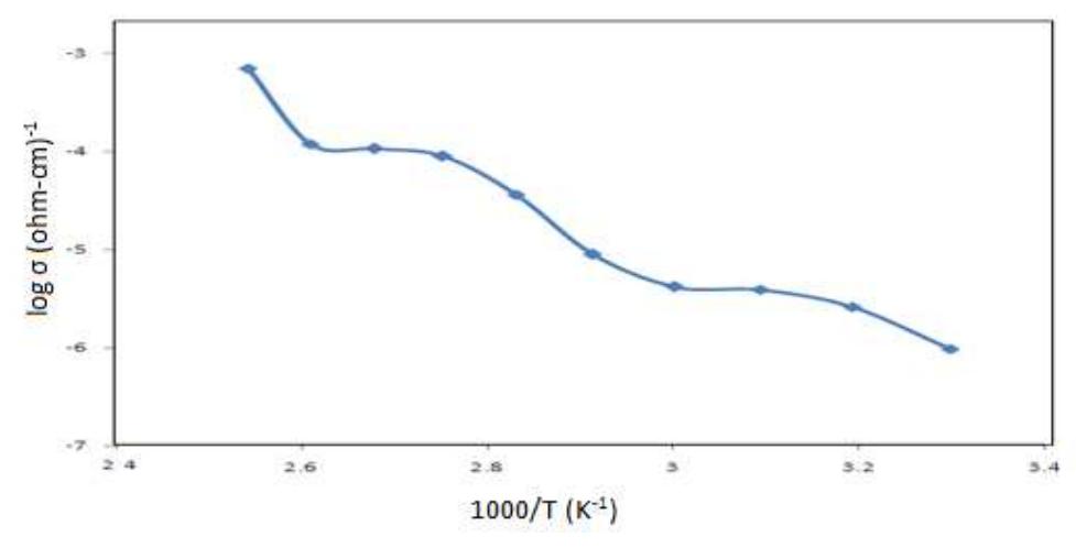 Tplot Names The log ogand 1000/tplot shows two distinct