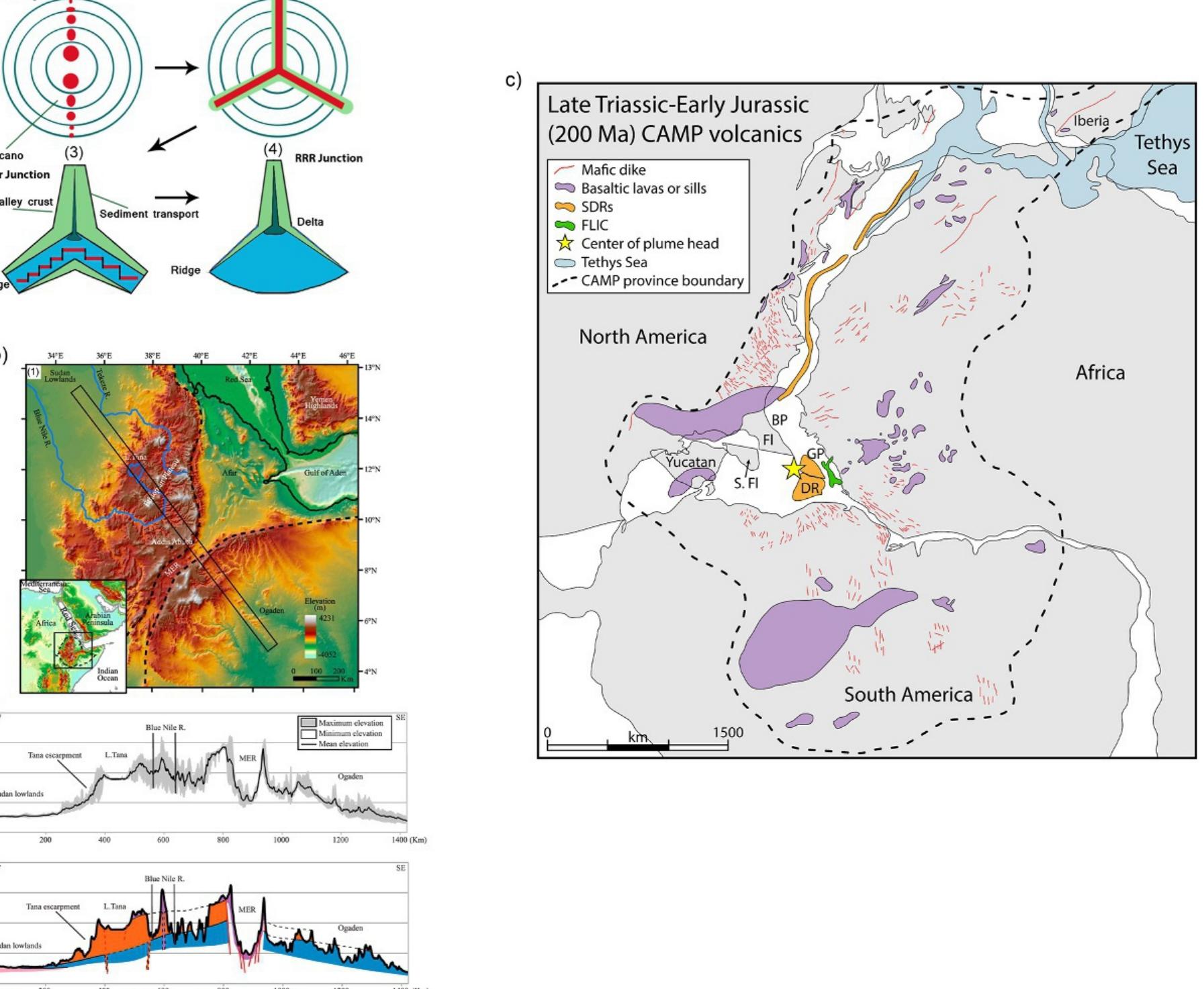 (PDF) Crustal structure and tectonostratigraphy of rifted-passive ...