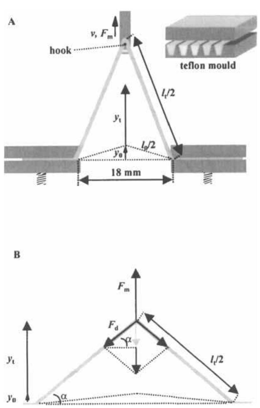 Figure 2 - from The Kieffer Dough and Gluten Extensibility